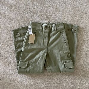 Aritzia wilfred free modern cargo pant in GD sage frost